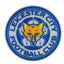 https://imageoffloads.taylorsmerchandise.com/wp-content/uploads/181865-Leicester-City-FC-3D-Fridge-Magnet.jpg