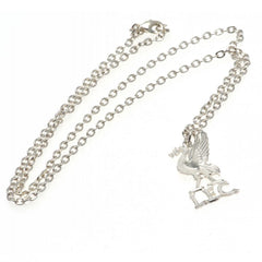 https://imageoffloads.taylorsmerchandise.com/wp-content/uploads/5065-Liverpool-FC-Silver-Plated-Pendant-Chain-LB.jpg