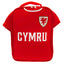 FA Wales Kit Lunch Bag LKT Sport Home shirt design lunch bag featuring the Wales crest and CYMRU textDouble zipped opening for easy accessWith carry handle and name tagWipe clean polyesterOfficial licensed productApprox 29cm x 24cm x 7cm Lunch Bags
