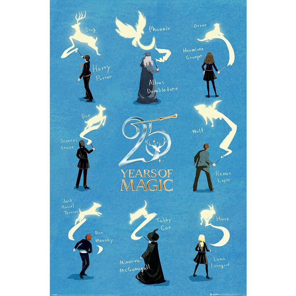 Harry Potter 25 Years Poster 60 LKT Sport Entertainment>Movies>Harry Potter Posters
