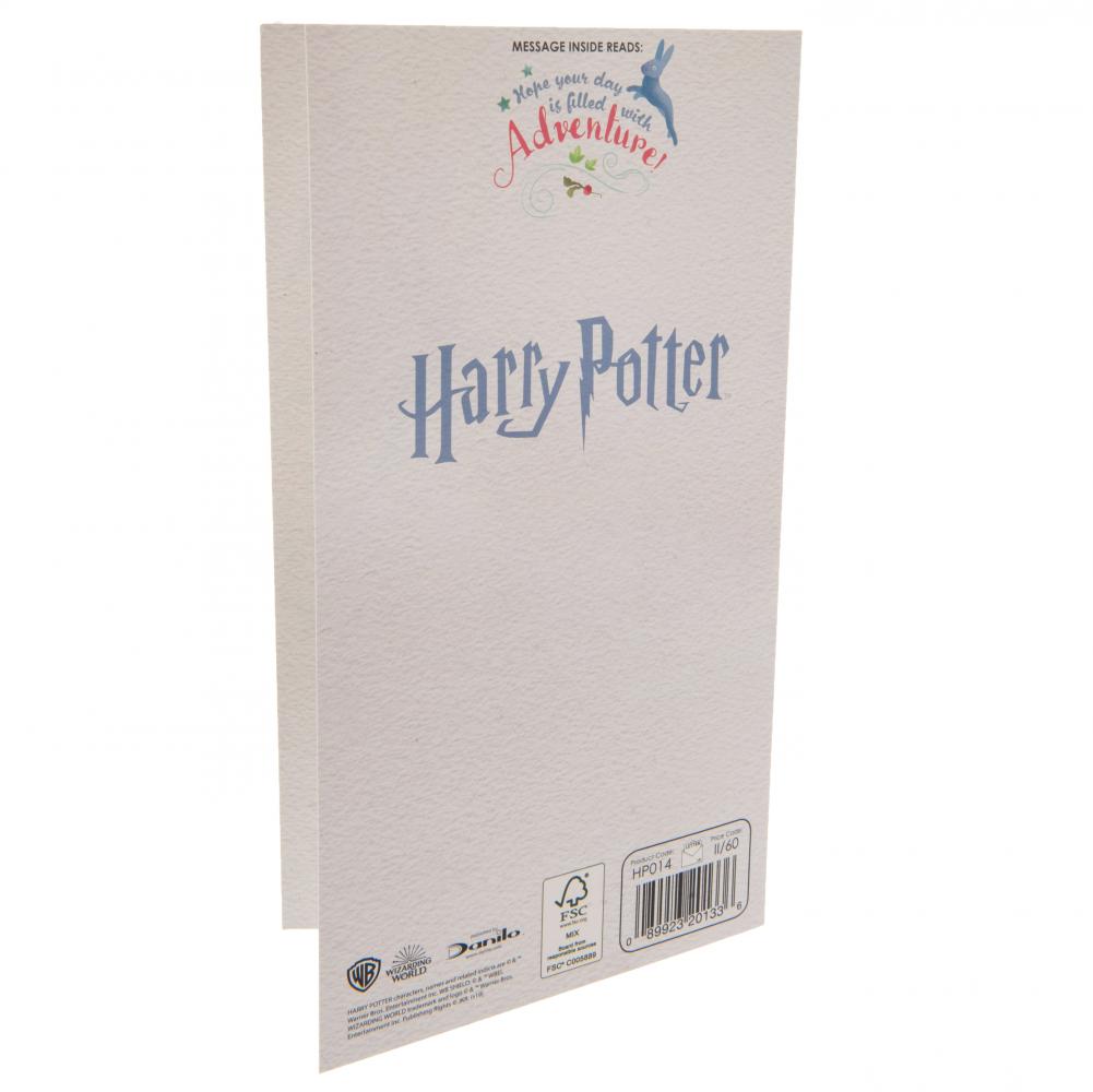 Harry Potter Birthday Card Sister LKT Sport Entertainment>Movies>Harry Potter Greeting Cards