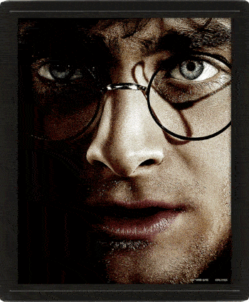 Harry Potter Framed 3D Picture LKT Sport Entertainment>Movies>Harry Potter Visual Artwork