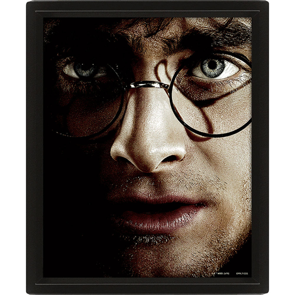 Harry Potter Framed 3D Picture LKT Sport Entertainment>Movies>Harry Potter Visual Artwork