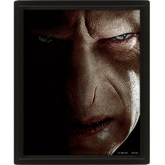 Harry Potter Framed 3D Picture LKT Sport Entertainment>Movies>Harry Potter Visual Artwork