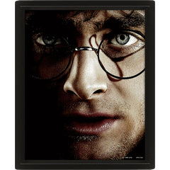 Harry Potter Framed 3D Picture LKT Sport Entertainment>Movies>Harry Potter Visual Artwork