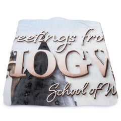 Harry Potter Hogwarts Castle Premium Fleece Blanket LKT Sport Entertainment>Movies>Harry Potter Throw Blankets