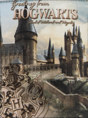 Harry Potter Hogwarts Castle Premium Fleece Blanket LKT Sport Entertainment>Movies>Harry Potter Throw Blankets