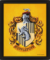 Harry Potter Hufflepuff Framed 3D Picture LKT Sport Entertainment>Movies>Harry Potter Visual Artwork