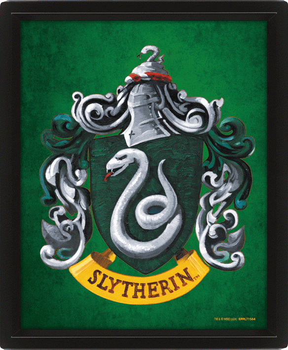 Harry Potter Slytherin Framed 3D Picture LKT Sport Entertainment>Movies>Harry Potter Photographs