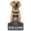 Newcastle United FC Labrador Gnome LKT Sport Labrador garden gnome in a sitting pose wearing a Newcastle collarFeatures a welcome sign with a full colour club crestOfficial Licensed MerchandiseApprox 26cm tall Garden Sculptures