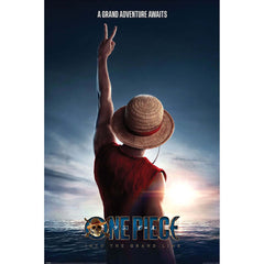 One Piece: Live Action Luffy Poster 55 LKT Sport Entertainment>TV Series>One Piece: Live Action Posters