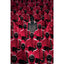 Squid Game Poster Key Art 63 LKT Sport Rolled maxi posterFeaturing key artwork from the hit Netflix TV seriesHigh resolution artworkPrinted on 150gsm gloss paperOfficial licensed productApprox 61cm x 91cm Posters