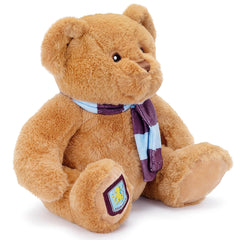 https://imageoffloads.taylorsmerchandise.com/wp-content/uploads/TM-06293-Aston-Villa-FC-Supersoft-Classic-Bear-1.jpg