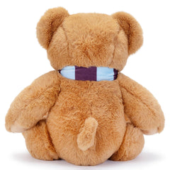 https://imageoffloads.taylorsmerchandise.com/wp-content/uploads/TM-06293-Aston-Villa-FC-Supersoft-Classic-Bear-3.jpg