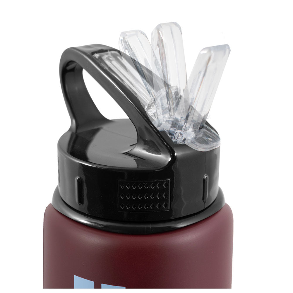 https://imageoffloads.taylorsmerchandise.com/wp-content/uploads/TM-06605-Aston-Villa-FC-Aluminium-Drinks-Bottle-ST-1.jpg