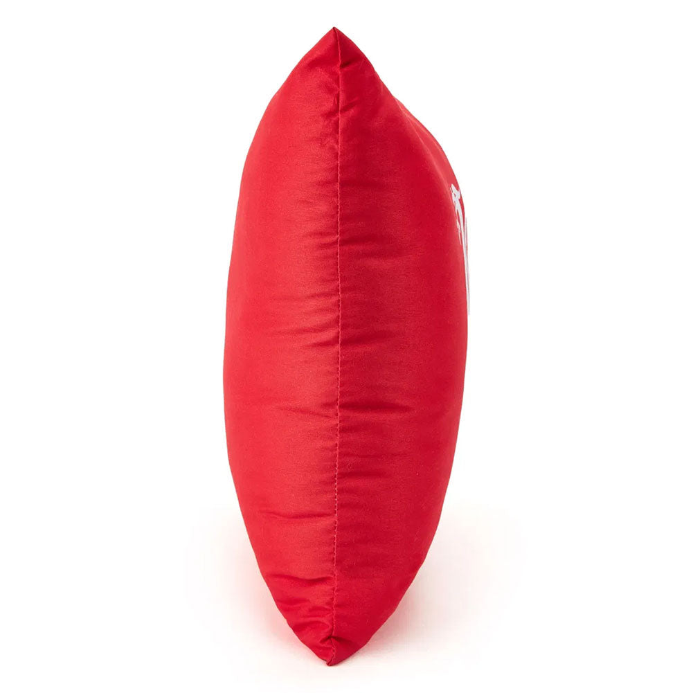 https://imageoffloads.taylorsmerchandise.com/wp-content/uploads/TM-07466-Liverpool-FC-Plush-Cushion-2.jpg