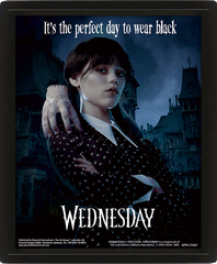 Wednesday Framed 3D Picture LKT Sport Entertainment>TV Series>Wednesday Posters