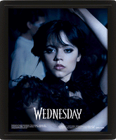 Wednesday Goo Goo Muck Framed 3D Picture LKT Sport Entertainment>TV Series>Wednesday Visual Artwork