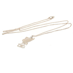  https://imageoffloads.taylorsmerchandise.com/wp-content/uploads/3945-Liverpool-FC-Sterling-Silver-Pendant-Chain-LB-1.jpg