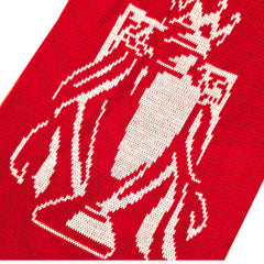 Arsenal FC Gold Premier League Champions Scarf LKT Sport Red and white jacquard knit scarf with gold fringeWith Champions 25/26 text in white and goldBoth sides feature a large Arsenal club crest and Premier League trophy at each endOfficial licensed prod