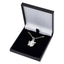 Aston Villa FC Silver Plated Boxed Pendant LN LKT Sport Silver plated pendant and necklaceFeaturing an Villa Lion pendant on a chain necklaceWith a lobster claspOfficial licensed productNecklace approx 50cm (20 inches)Pendant approx 20mm x 17mm Pendants