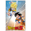 Dragon Ball Z Special Goku Poster 12 LKT Sport Rolled maxi posterFeaturing images of Son GokuHigh resolution artworkPrinted on 150gsm gloss paperOfficial licensed productApprox 61cm x 91cm Posters