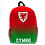 FA Wales Fade Backpack LKT Sport Fade design backpack featuring the Wales crest and CYMRU textPadded back panel for comfort with adjustable shoulder straps and a carry strapMain compartment has a large double zipped opening for easy access2 mesh side pock
