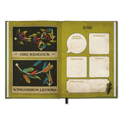 Harry Potter A5 Diary 2026 LKT Sport Entertainment>Movies>Harry Potter Planners