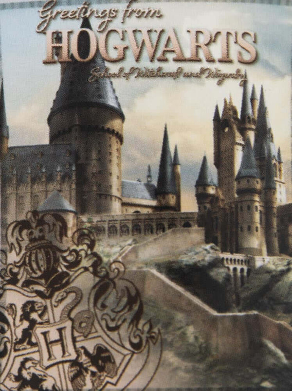 Harry Potter Hogwarts Castle Premium Fleece Blanket LKT Sport Luxury soft feel 100% polyester coral fleece blanketCream fleece featuring a large image of Hogwarts, with the text 'Greetings from Hogwarts' across the topIdeal for snuggling up on the sofa wh