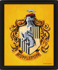Harry Potter Hufflepuff Framed 3D Picture LKT Sport Entertainment>Movies>Harry Potter Visual Artwork