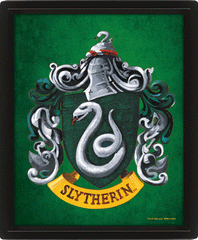 Harry Potter Slytherin Framed 3D Picture LKT Sport Entertainment>Movies>Harry Potter Photographs