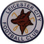 Leicester City FC 1973 Crest Badge LKT Sport Metal crest shaped pin badge Full colour enamel finish featuring retro crest design With butterfly clasp fixing Metal alloy with silver style finish Official licensed product Approx 20mm x 20mm On a header card