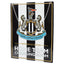 Newcastle United FC Home Team Garden Sign LKT Sport Vibrant metal hanging garden signFeaturing a large club crest Home Team Changing Room textComplete with a metal chain for hangingOfficial licensed productApprox 25cm x 20cm Novelty Signs