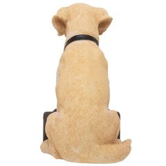Newcastle United FC Labrador Gnome LKT Sport Football>Premier League>Newcastle United FC