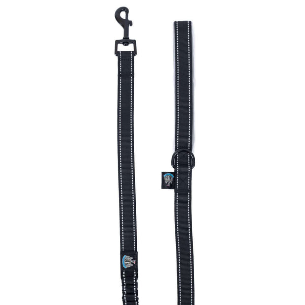 Newcastle United FC Reflective Dog Lead LKT Sport Newcastle United Bungee Dog LeadWith a shock absorbing bungee sectionOfficial licensed product Standard Leashes