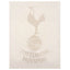 https://imageoffloads.taylorsmerchandise.com/wp-content/uploads/TM-01591-Tottenham-FC-Hotspur-A4-Car-Decal.jpg