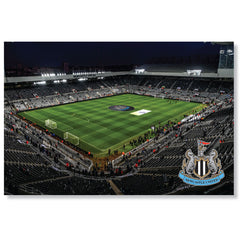 https://imageoffloads.taylorsmerchandise.com/wp-content/uploads/TM-06265-Newcastle-United-FC-Landscape-LED-Stadium-Sign.jpg