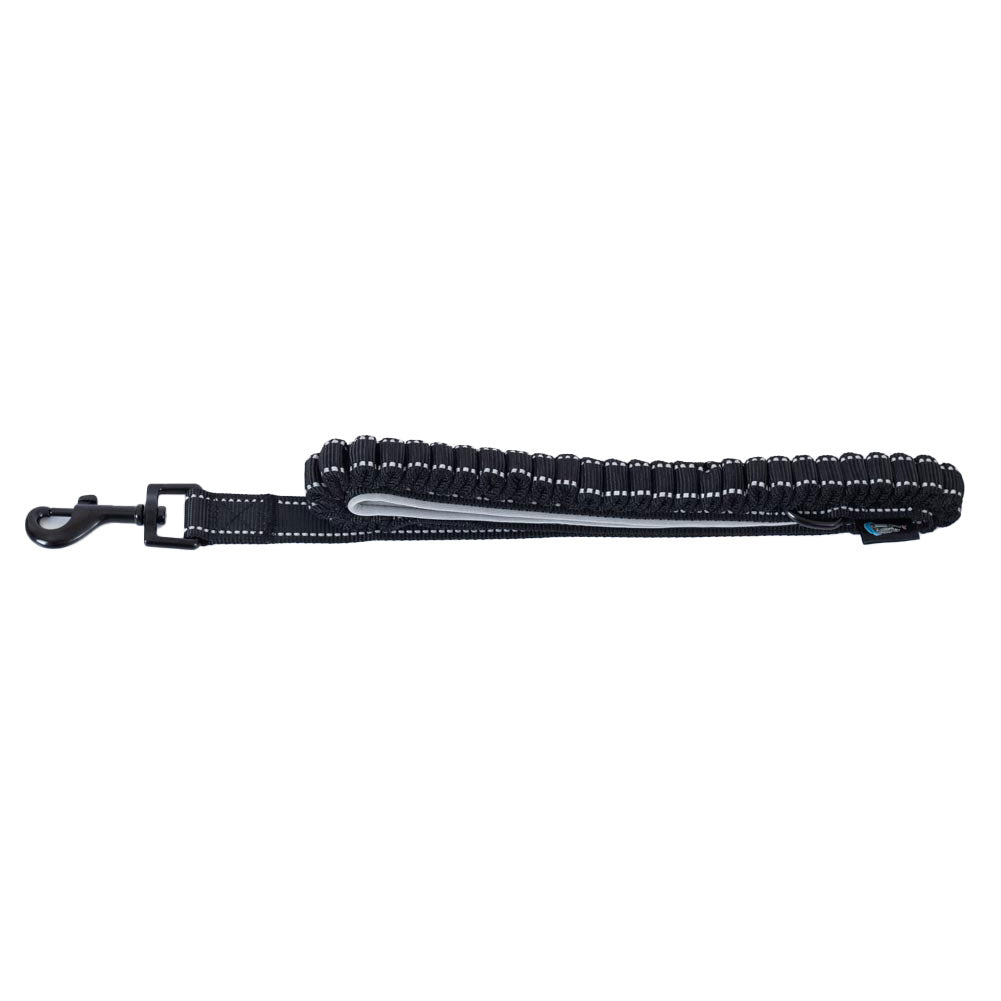  https://imageoffloads.taylorsmerchandise.com/wp-content/uploads/TM-07204-Newcastle-United-FC-Reflective-Dog-Lead-1.jpg
