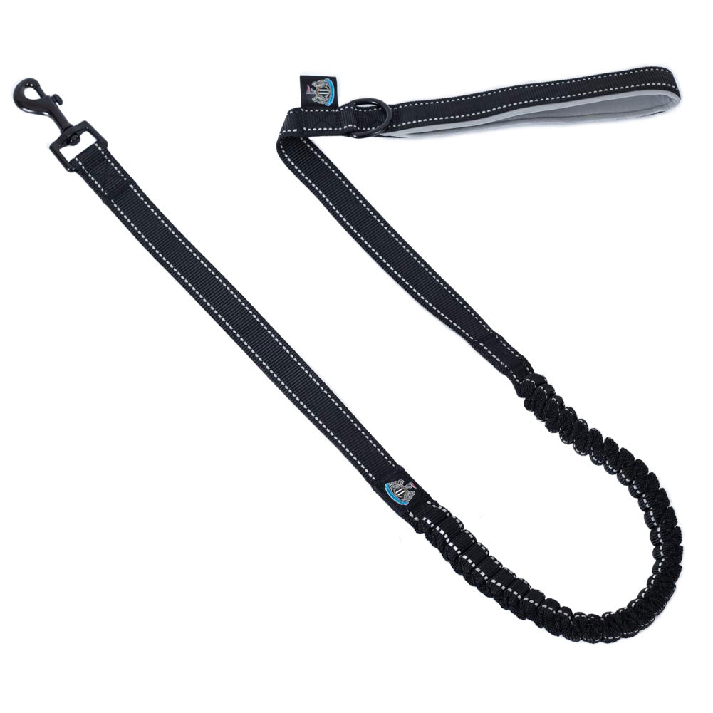 https://imageoffloads.taylorsmerchandise.com/wp-content/uploads/TM-07204-Newcastle-United-FC-Reflective-Dog-Lead.jpg