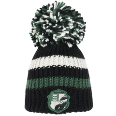 https://imageoffloads.taylorsmerchandise.com/wp-content/uploads/TM-07321-Harry-Potter-Big-Bobble-Hat-Slytherin.jpg