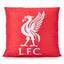 https://imageoffloads.taylorsmerchandise.com/wp-content/uploads/TM-07466-Liverpool-FC-Plush-Cushion.jpg