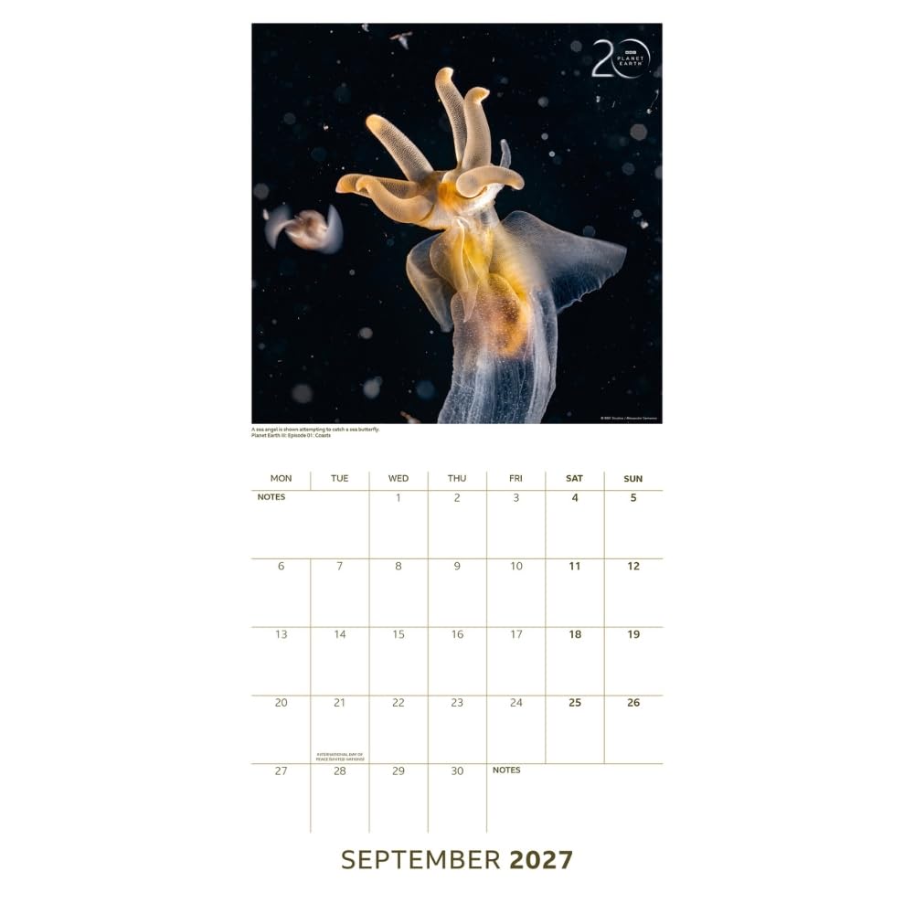 https://imageoffloads.taylorsmerchandise.com/wp-content/uploads/TM-08156-BBC-Earth-Square-Calendar-2027-1.jpg