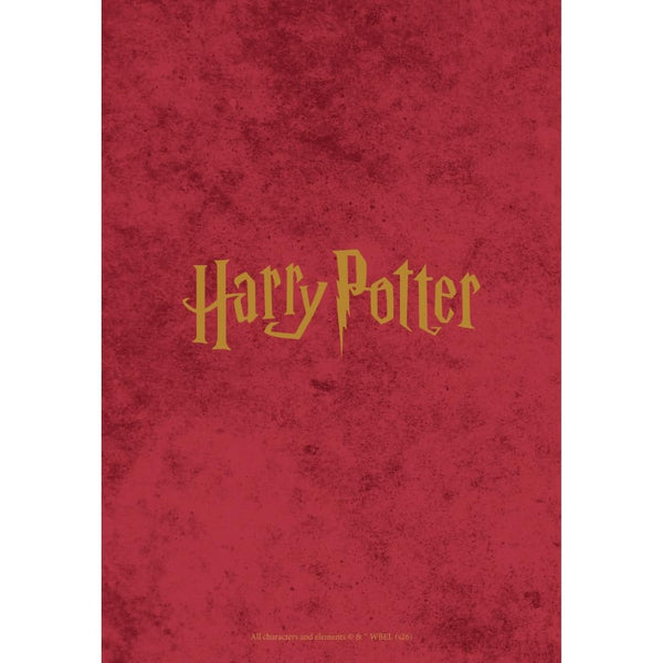  https://imageoffloads.taylorsmerchandise.com/wp-content/uploads/TM-08253-Harry-Potter-A5-Diary-2027-2.jpg