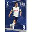 Tottenham Hotspur FC Poster Bale 22 LKT Sport Rolled maxi posterFeaturing Spurs Star Gareth BaleHigh resolution artworkPrinted on 150gsm gloss paperOfficial licensed productApprox 61cm x 91cm Posters