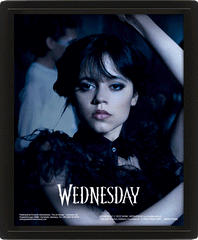 Wednesday Goo Goo Muck Framed 3D Picture LKT Sport Entertainment>TV Series>Wednesday Visual Artwork